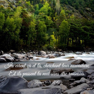Picture 03 - Psaumes 59:15 LSG - Ils errent çà et là, cherchant leur - Bible Verse Picture