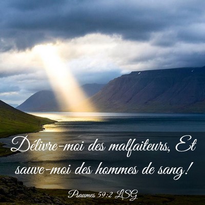 Picture 03 - Psaumes 59:2 LSG - Délivre-moi des malfaiteurs, Et sauve-moi des - Bible Verse Picture