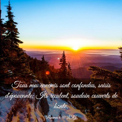 Picture 03 - Psaumes 6:10 LSG - Tous mes ennemis sont confondus, saisis - Bible Verse Picture