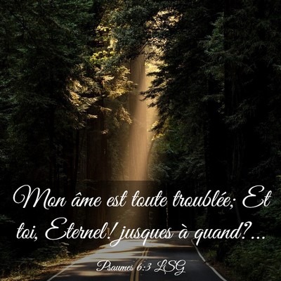 Picture 03 - Psaumes 6:3 LSG - Mon âme est toute troublée; Et toi, Eternel! - Bible Verse Picture