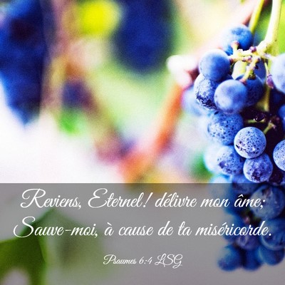 Picture 03 - Psaumes 6:4 LSG - Reviens, Eternel! délivre mon âme; Sauve-moi, - Bible Verse Picture