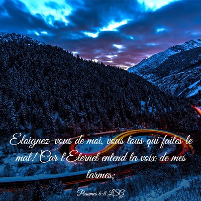 Picture 03 - Psaumes 6:8 LSG - Eloignez-vous de moi, vous tous qui faites le - Bible Verse Picture