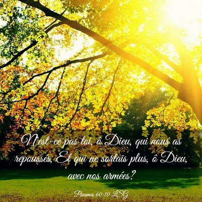 Picture 03 - Psaumes 60:10 LSG - N'est-ce pas toi, ô Dieu, qui nous as - Bible Verse Picture