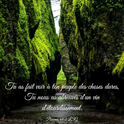 Picture 03 - Psaumes 60:3 LSG - Tu as fait voir à ton peuple des choses dures, - Bible Verse Picture