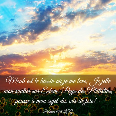 Picture 03 - Psaumes 60:8 LSG - Moab est le bassin où je me lave; Je jette mon - Bible Verse Picture