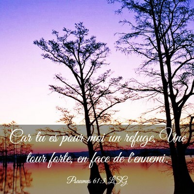 Picture 03 - Psaumes 61:3 LSG - Car tu es pour moi un refuge, Une tour forte, en - Bible Verse Picture