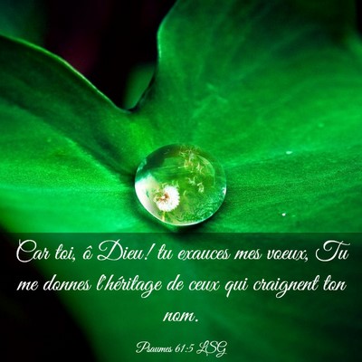 Picture 03 - Psaumes 61:5 LSG - Car toi, ô Dieu! tu exauces mes voeux, Tu me - Bible Verse Picture