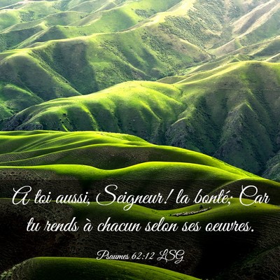 Picture 03 - Psaumes 62:12 LSG - A toi aussi, Seigneur! la bonté; Car tu rends à - Bible Verse Picture