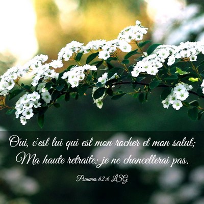 Picture 03 - Psaumes 62:6 LSG - Oui, c'est lui qui est mon rocher et mon salut; - Bible Verse Picture