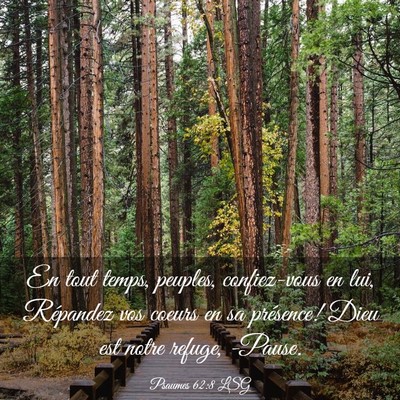 Picture 03 - Psaumes 62:8 LSG - En tout temps, peuples, confiez-vous en lui, - Bible Verse Picture