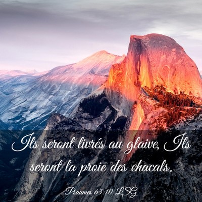 Picture 03 - Psaumes 63:10 LSG - Ils seront livrés au glaive, Ils seront la proie - Bible Verse Picture