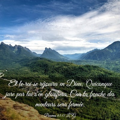 Picture 03 - Psaumes 63:11 LSG - Et le roi se réjouira en Dieu; Quiconque jure - Bible Verse Picture