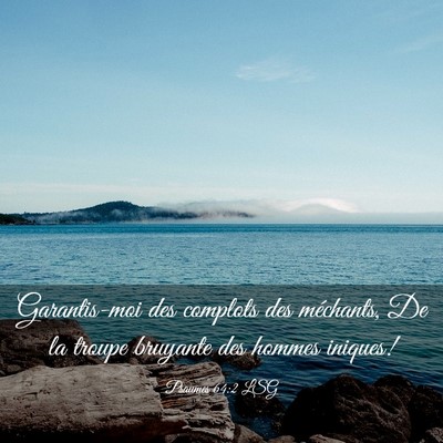 Picture 03 - Psaumes 64:2 LSG - Garantis-moi des complots des méchants, De la - Bible Verse Picture