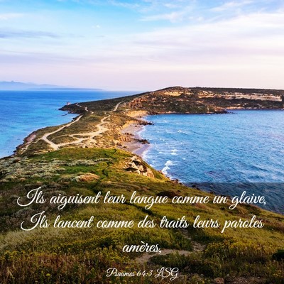 Picture 03 - Psaumes 64:3 LSG - Ils aiguisent leur langue comme un glaive, Ils - Bible Verse Picture