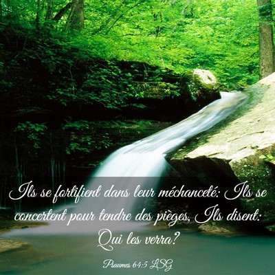 Picture 03 - Psaumes 64:5 LSG - Ils se fortifient dans leur méchanceté: Ils se - Bible Verse Picture