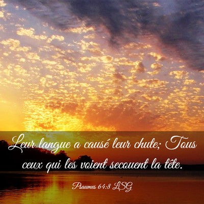 Picture 03 - Psaumes 64:8 LSG - Leur langue a causé leur chute; Tous ceux qui - Bible Verse Picture