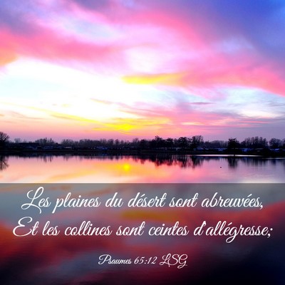 Picture 03 - Psaumes 65:12 LSG - Les plaines du désert sont abreuvées, Et les - Bible Verse Picture