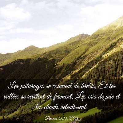 Picture 03 - Psaumes 65:13 LSG - Les pâturages se couvrent de brebis, Et les - Bible Verse Picture