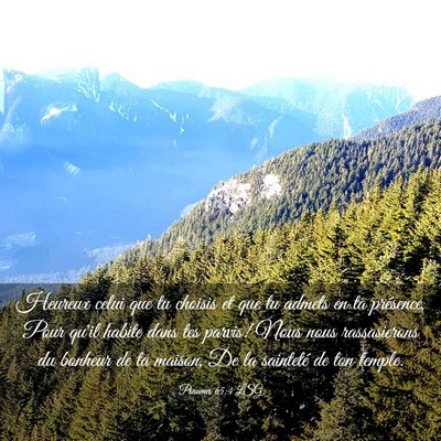 Picture 03 - Psaumes 65:4 LSG - Heureux celui que tu choisis et que tu admets en - Bible Verse Picture