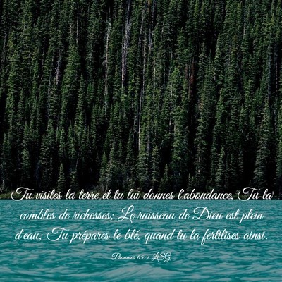 Picture 03 - Psaumes 65:9 LSG - Tu visites la terre et tu lui donnes l'abondance, - Bible Verse Picture