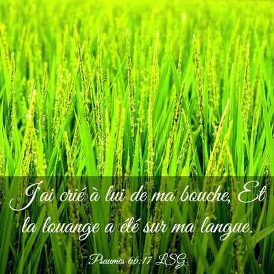 Picture 03 - Psaumes 66:17 LSG - J'ai crié à lui de ma bouche, Et la louange a - Bible Verse Picture
