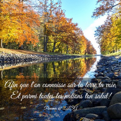 Picture 03 - Psaumes 67:2 LSG - Afin que l'on connaisse sur la terre ta voie, Et - Bible Verse Picture