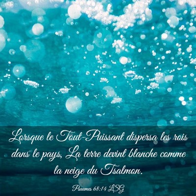 Picture 03 - Psaumes 68:14 LSG - Lorsque le Tout-Puissant dispersa les rois dans - Bible Verse Picture