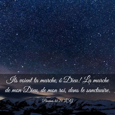 Picture 03 - Psaumes 68:24 LSG - Ils voient ta marche, ô Dieu! La marche de mon - Bible Verse Picture