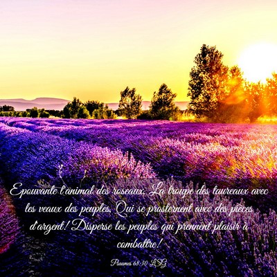 Picture 03 - Psaumes 68:30 LSG - Epouvante l'animal des roseaux, La troupe des - Bible Verse Picture