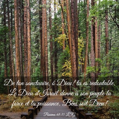 Picture 03 - Psaumes 68:35 LSG - De ton sanctuaire, ô Dieu! tu es redoutable. Le - Bible Verse Picture
