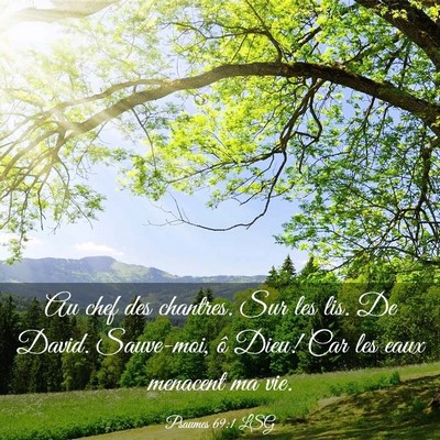 Picture 03 - Psaumes 69:1 LSG - Au chef des chantres. Sur les lis. De David. - Bible Verse Picture