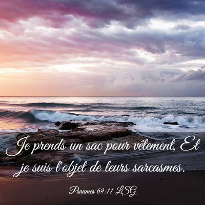 Picture 03 - Psaumes 69:11 LSG - Je prends un sac pour vêtement, Et je suis - Bible Verse Picture