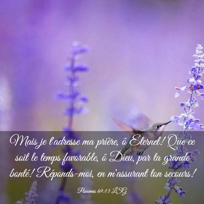 Picture 03 - Psaumes 69:13 LSG - Mais je t'adresse ma prière, ô Eternel! Que ce - Bible Verse Picture