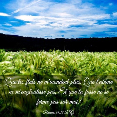 Picture 03 - Psaumes 69:15 LSG - Que les flots ne m'inondent plus, Que l'abîme ne - Bible Verse Picture