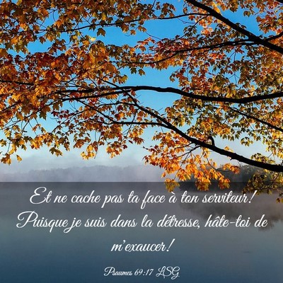 Picture 03 - Psaumes 69:17 LSG - Et ne cache pas ta face à ton serviteur! Puisque - Bible Verse Picture