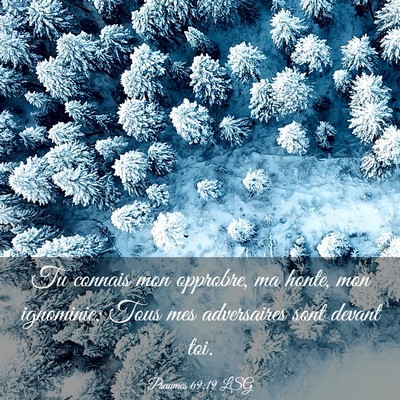 Picture 03 - Psaumes 69:19 LSG - Tu connais mon opprobre, ma honte, mon ignominie; - Bible Verse Picture