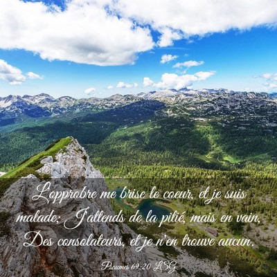 Picture 03 - Psaumes 69:20 LSG - L'opprobre me brise le coeur, et je suis malade; - Bible Verse Picture