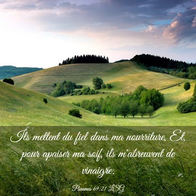 Picture 03 - Psaumes 69:21 LSG - Ils mettent du fiel dans ma nourriture, Et, pour - Bible Verse Picture