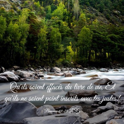 Picture 03 - Psaumes 69:28 LSG - Qu'ils soient effacés du livre de vie, Et qu'ils - Bible Verse Picture