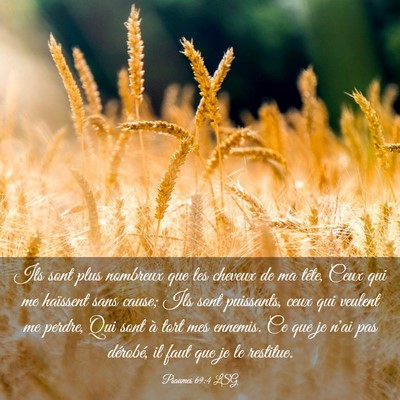 Picture 03 - Psaumes 69:4 LSG - Ils sont plus nombreux que les cheveux de ma - Bible Verse Picture