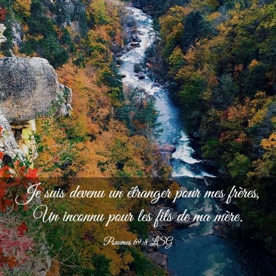Picture 03 - Psaumes 69:8 LSG - Je suis devenu un étranger pour mes frères, Un - Bible Verse Picture