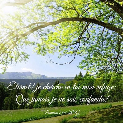Picture 03 - Psaumes 71:1 LSG - Eternel! je cherche en toi mon refuge: Que jamais - Bible Verse Picture
