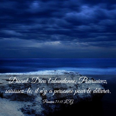 Picture 03 - Psaumes 71:11 LSG - Disant: Dieu l'abandonne; Poursuivez, - Bible Verse Picture