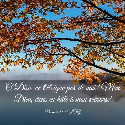 Picture 03 - Psaumes 71:12 LSG - O Dieu, ne t'éloigne pas de moi! Mon Dieu, viens - Bible Verse Picture