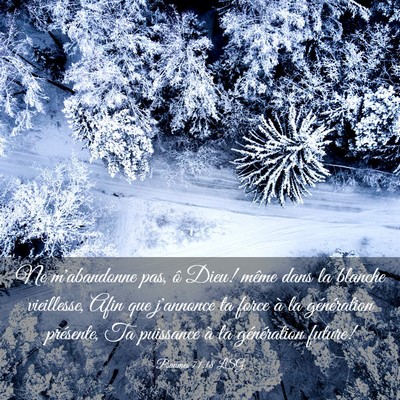 Picture 03 - Psaumes 71:18 LSG - Ne m'abandonne pas, ô Dieu! même dans la - Bible Verse Picture