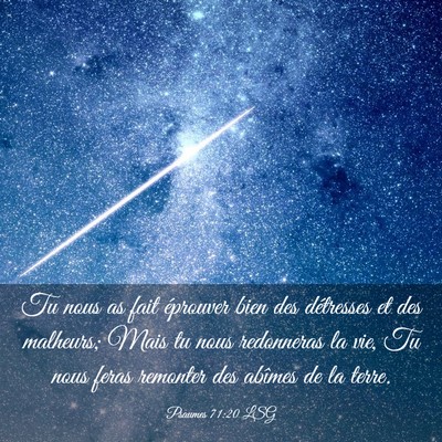 Picture 03 - Psaumes 71:20 LSG - Tu nous as fait éprouver bien des détresses et - Bible Verse Picture
