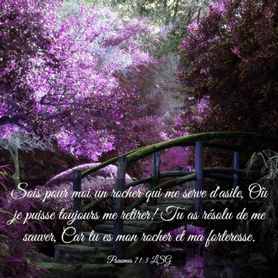 Picture 03 - Psaumes 71:3 LSG - Sois pour moi un rocher qui me serve d'asile, Où - Bible Verse Picture