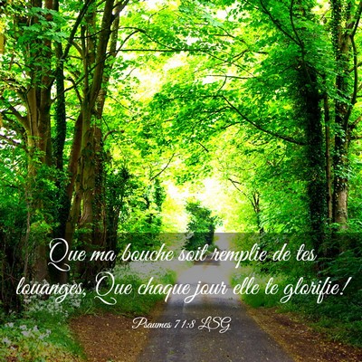 Picture 03 - Psaumes 71:8 LSG - Que ma bouche soit remplie de tes louanges, Que - Bible Verse Picture