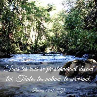 Picture 03 - Psaumes 72:11 LSG - Tous les rois se prosterneront devant lui, Toutes - Bible Verse Picture