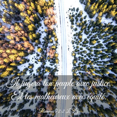 Picture 03 - Psaumes 72:2 LSG - Il jugera ton peuple avec justice, Et tes - Bible Verse Picture